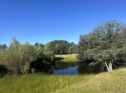 7436 Eagle View Dr, Mountain Ranch, CA 95246 Photo