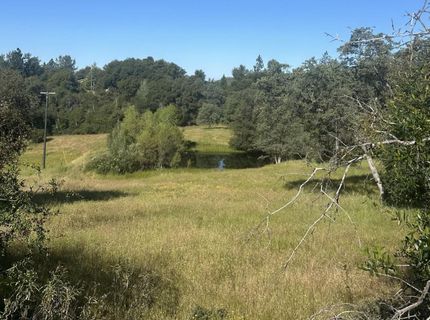 7436 Eagle View Dr, Mountain Ranch, CA 95246 Photo