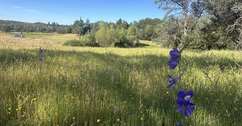7436 Eagle View Dr, Mountain Ranch, CA 95246 Photo