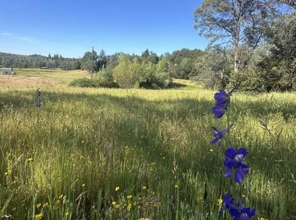 7436 Eagle View Dr, Mountain Ranch, CA 95246 Photo