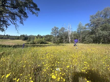 7436 Eagle View Dr, Mountain Ranch, CA 95246 Photo