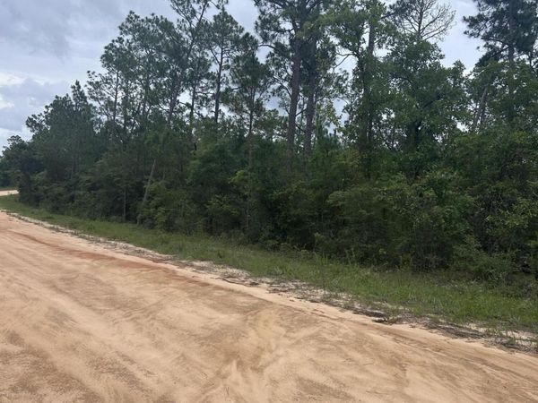 00 Abraham Street , Alford, FL 32420