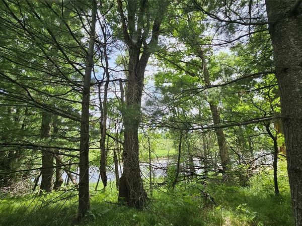 Lot 2 Gaslyn Road, Webster, WI 54893