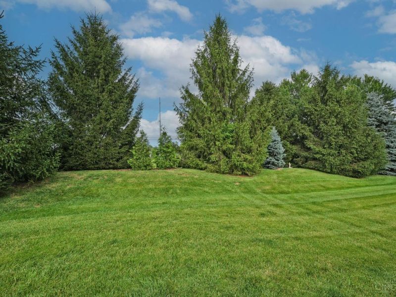 6408 Dahlia Way, Liberty Township, OH 45044 Photo 55