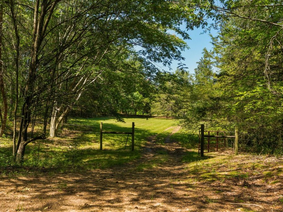 Property Image 86
