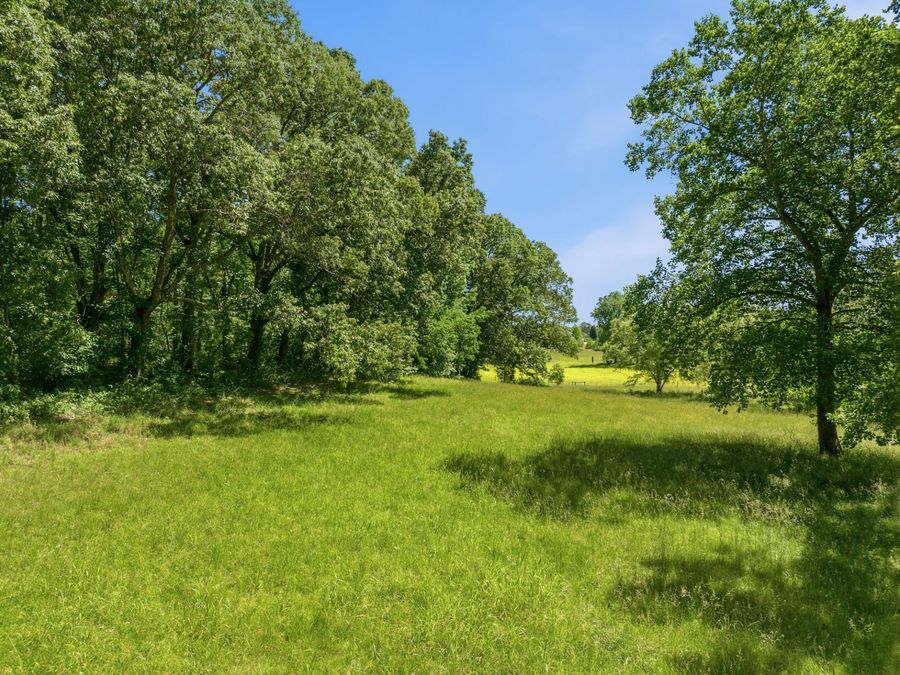 Property Image 58