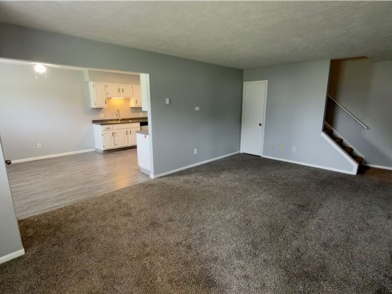 229 Brunswick Drive, Elyria, OH 44035 Photo 4