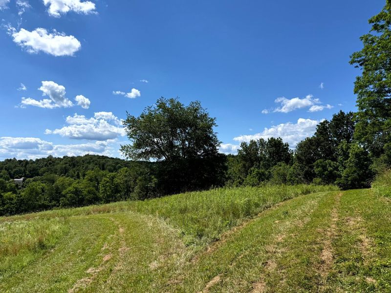0 Cutlip St, Unit (Tract 3 a, Jackson, OH 45640 Photo 5
