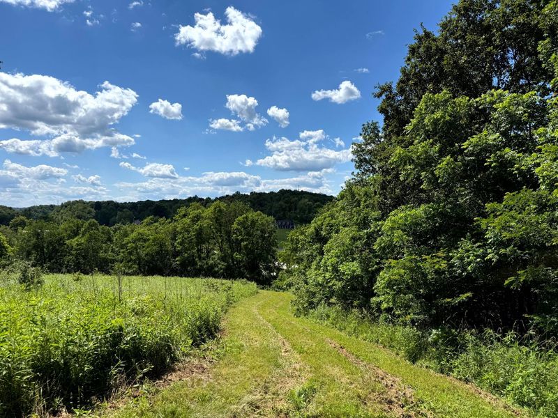 0 Cutlip St, Unit (Tract 3 a, Jackson, OH 45640 Photo 6