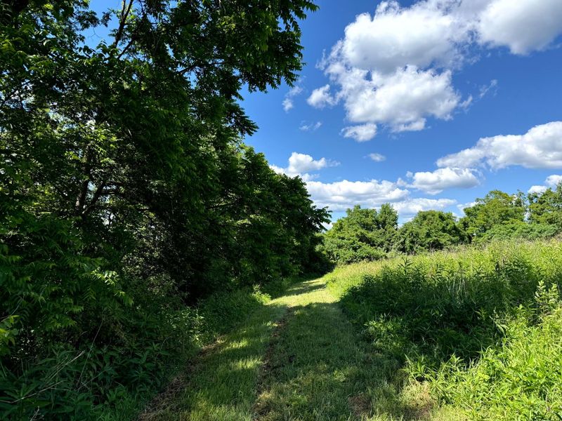 0 Cutlip St, Unit (Tract 3 a, Jackson, OH 45640 Photo 8