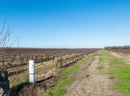 2361 Coelho Rd, Manteca, CA 95336 Photo
