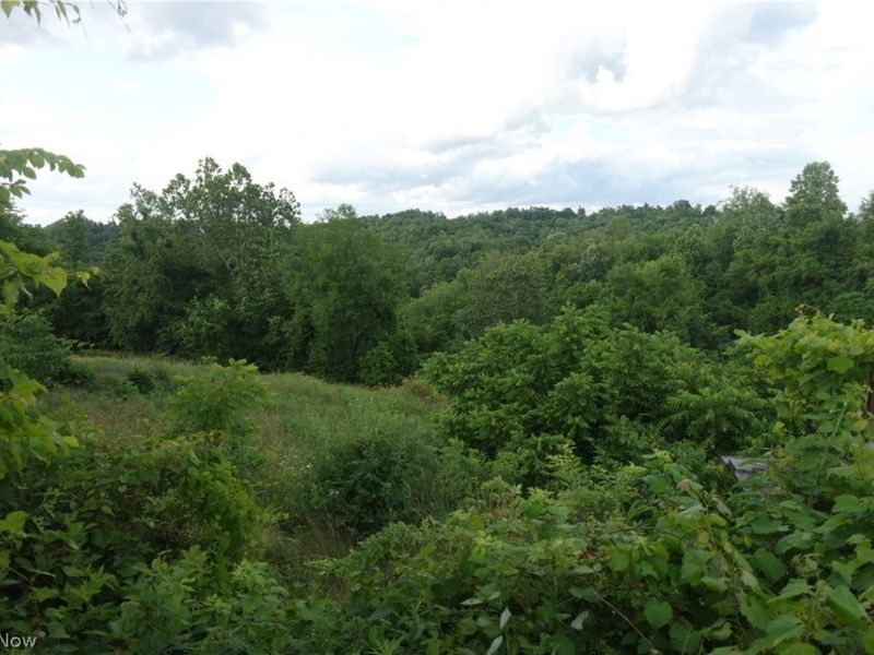 56085 Winding Hill Rd, Bellaire, OH 43906 Photo 10