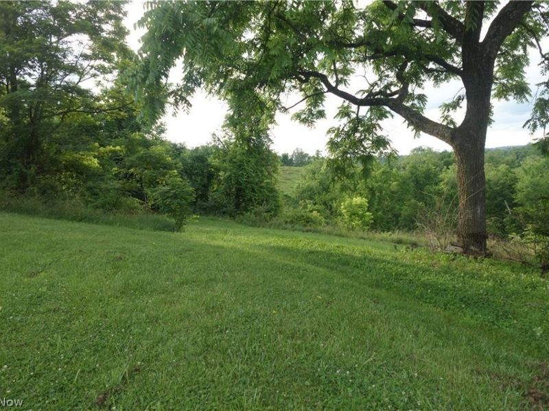 56085 Winding Hill Rd, Bellaire, OH 43906 Photo 8
