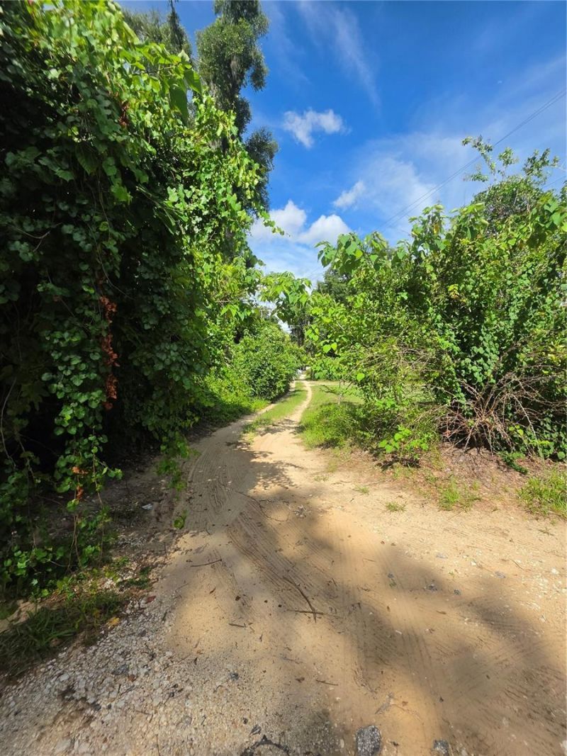 515 Ella Avenue, Inverness, FL 34450 Photo