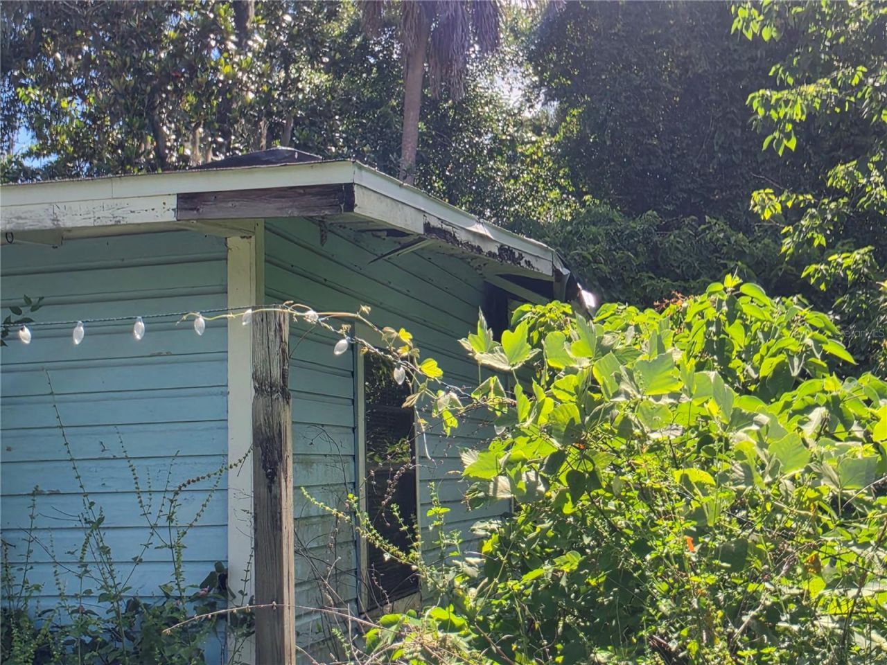 515 Ella Avenue, Inverness, FL 34450 Photo