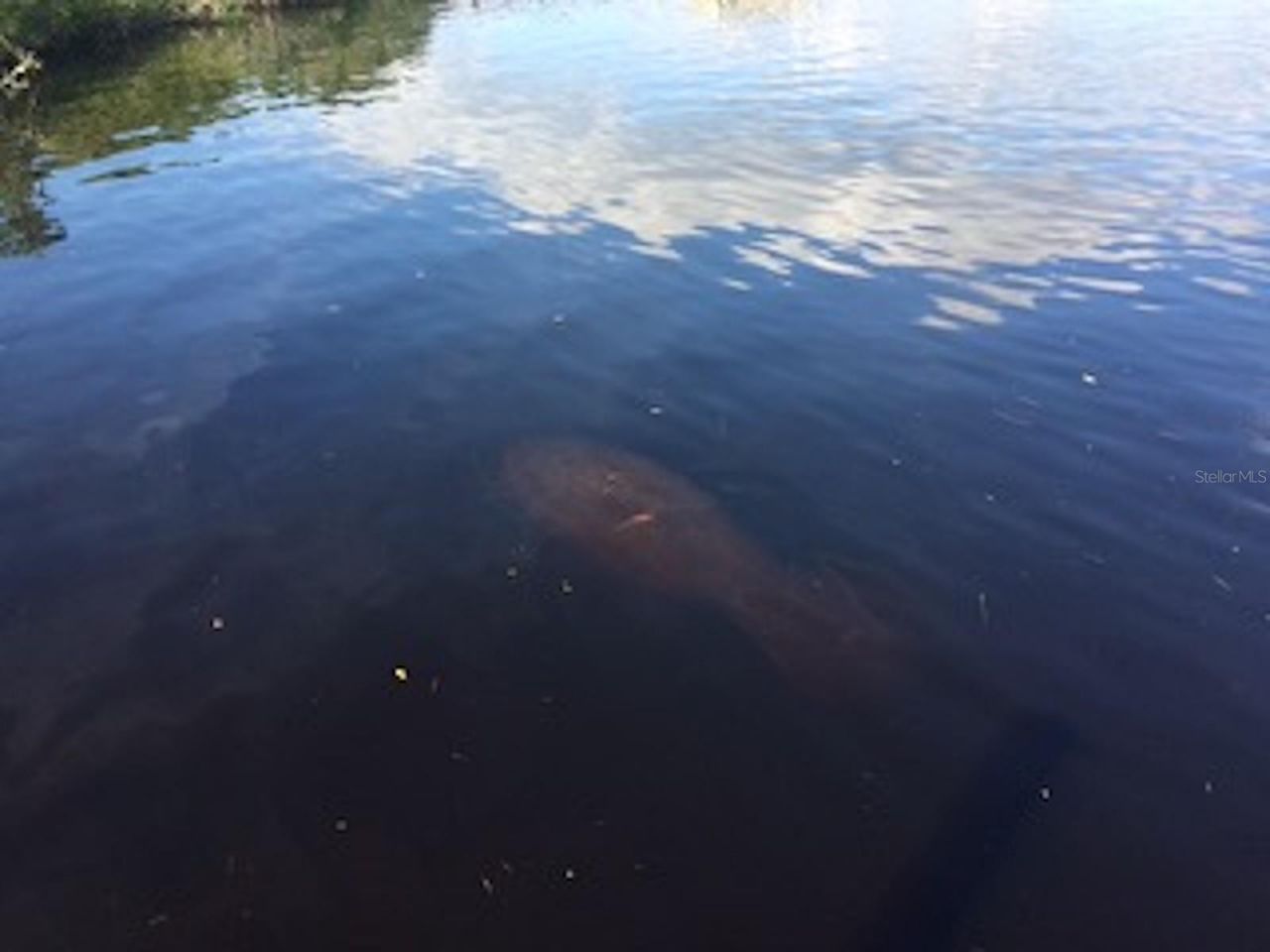 0 Riverfront Drive, Lot #Lot 6, Venice, FL 34293 Photo