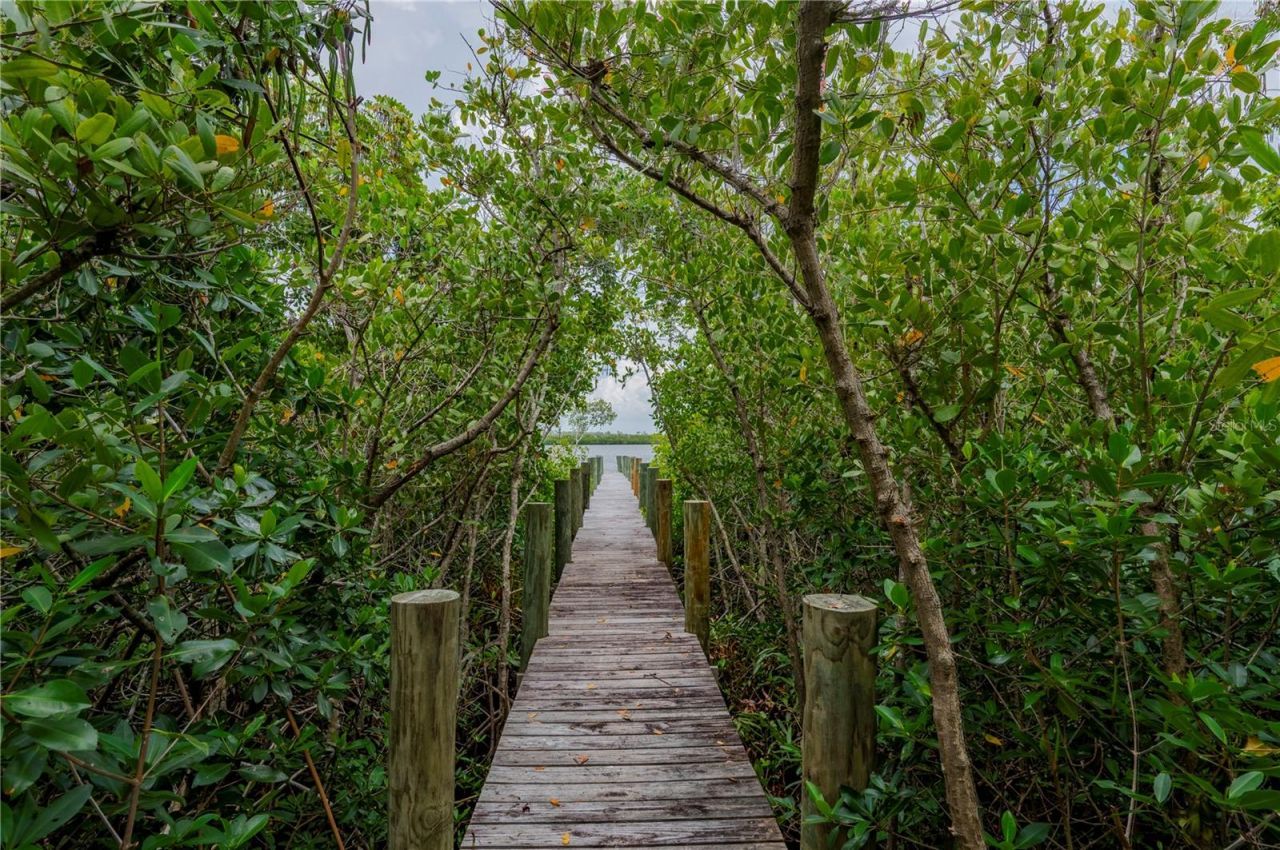 0 Riverfront Drive, Lot #Lot 6, Venice, FL 34293 Photo