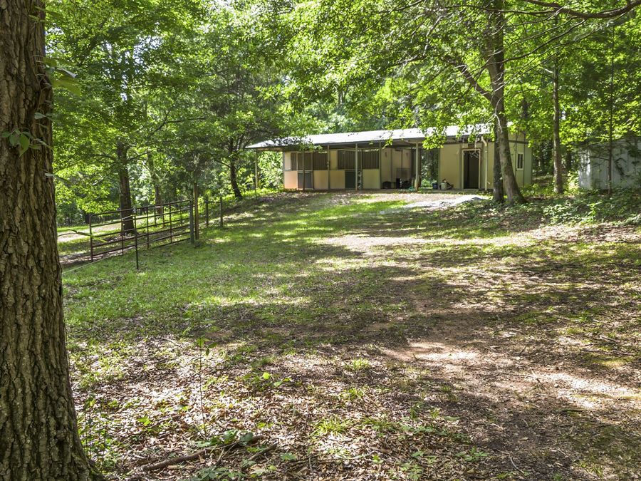 Property Image 39