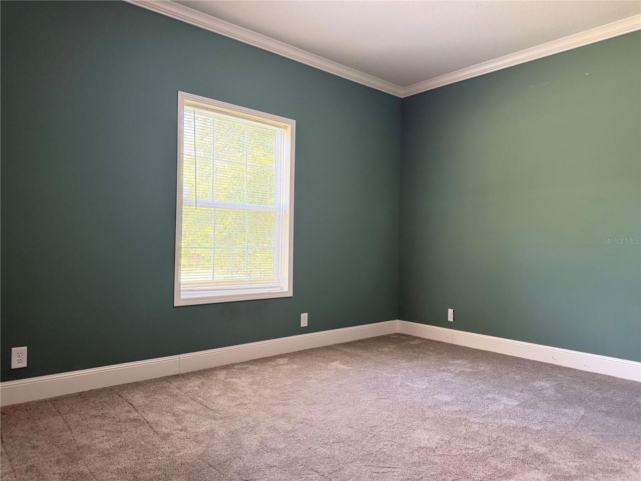 11160 NW 5th Avenue, Branford, FL 32008 Photo