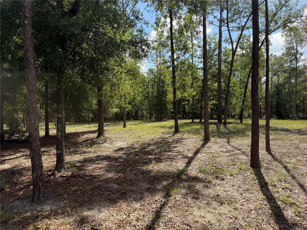 11160 NW 5th Avenue, Branford, FL 32008 Photo