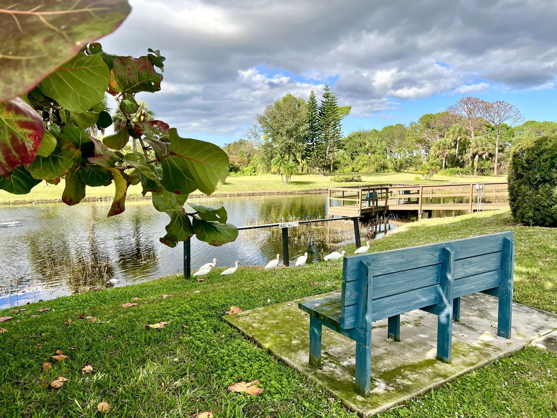 8011 SE Homestead Avenue, Hobe Sound, FL 33455 Photo