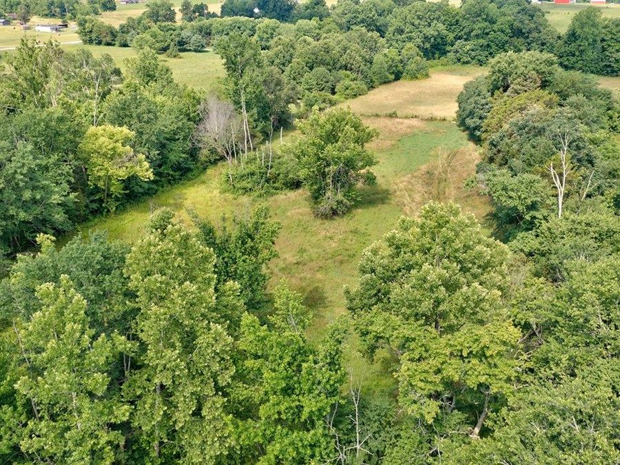 Property Image 13