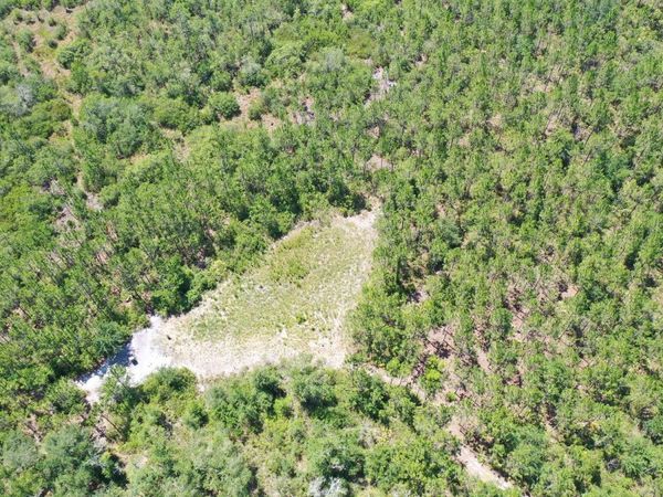 PINE LAKE RD, Lee, FL 32059
