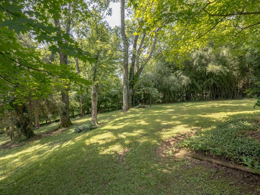 Property Image 60