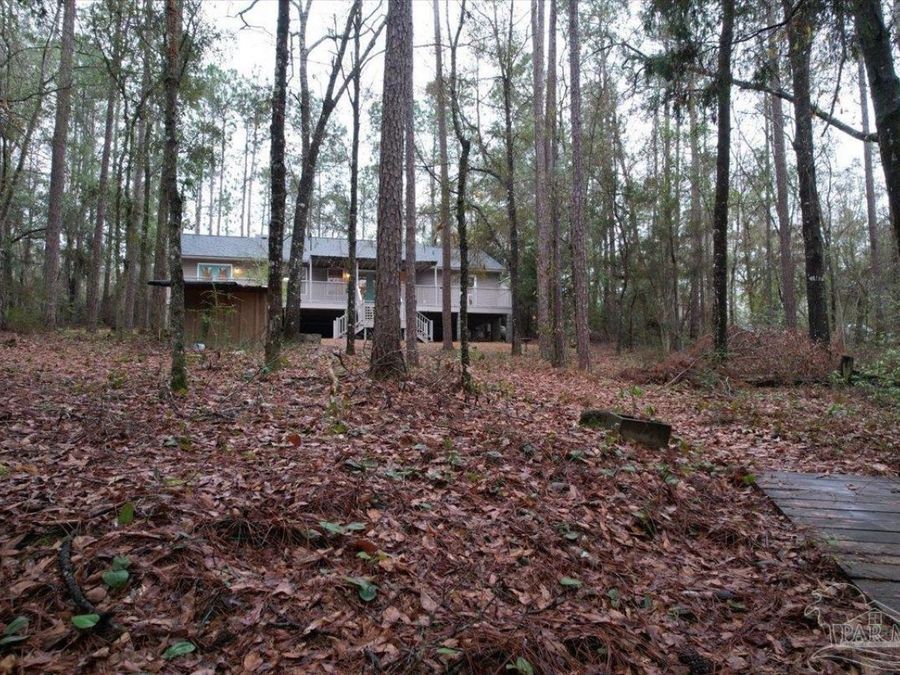 Property Image 49