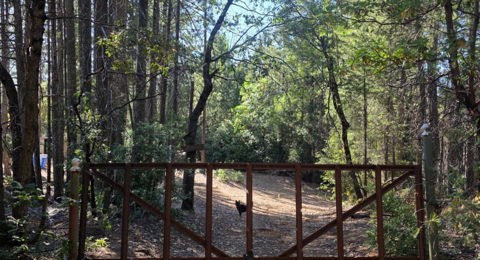 3030 Springwood, Georgetown, CA 95634 Photo