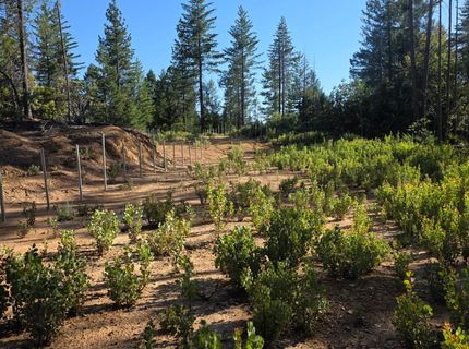 3030 Springwood, Georgetown, CA 95634 Photo
