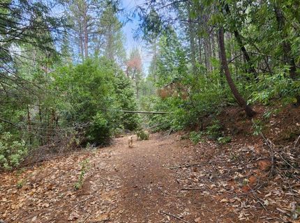 3030 Springwood, Georgetown, CA 95634 Photo