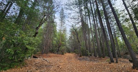 3030 Springwood, Georgetown, CA 95634 Photo