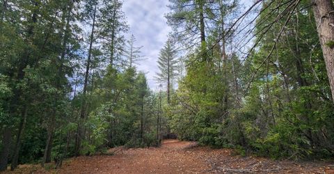 3030 Springwood, Georgetown, CA 95634 Photo