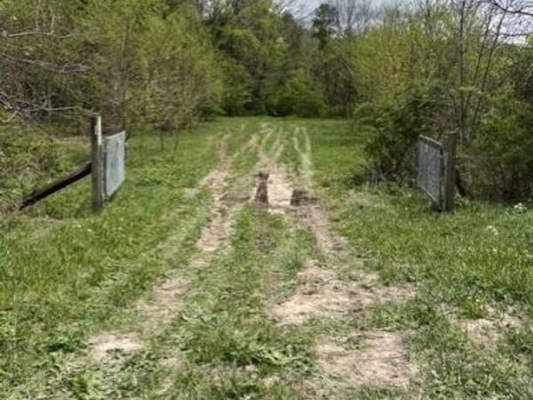 Parcel A W County Line Road, Greenville, MI 48838
