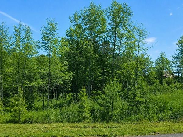76 Water Oak Lane, Blairsville, GA 30512