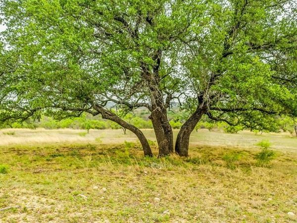 Lot 3 County Road 322, Blanket, TX 76432