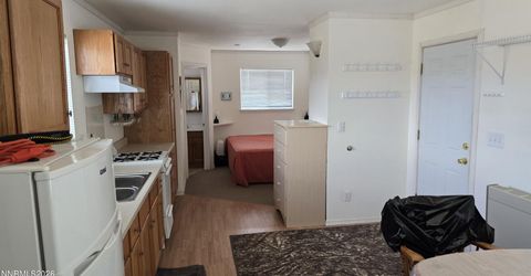Apn 066-060-12, Gerlach, NV 89412 Photo