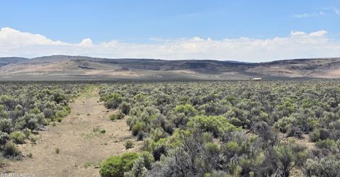 Apn 066-060-12, Gerlach, NV 89412 Photo
