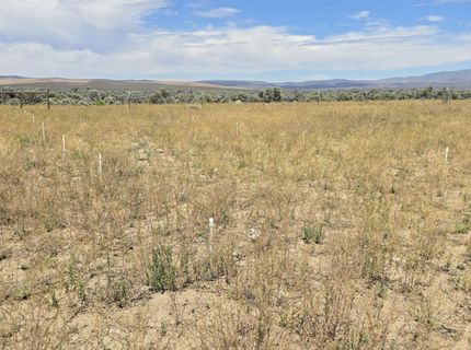 Apn 066-060-12, Gerlach, NV 89412 Photo