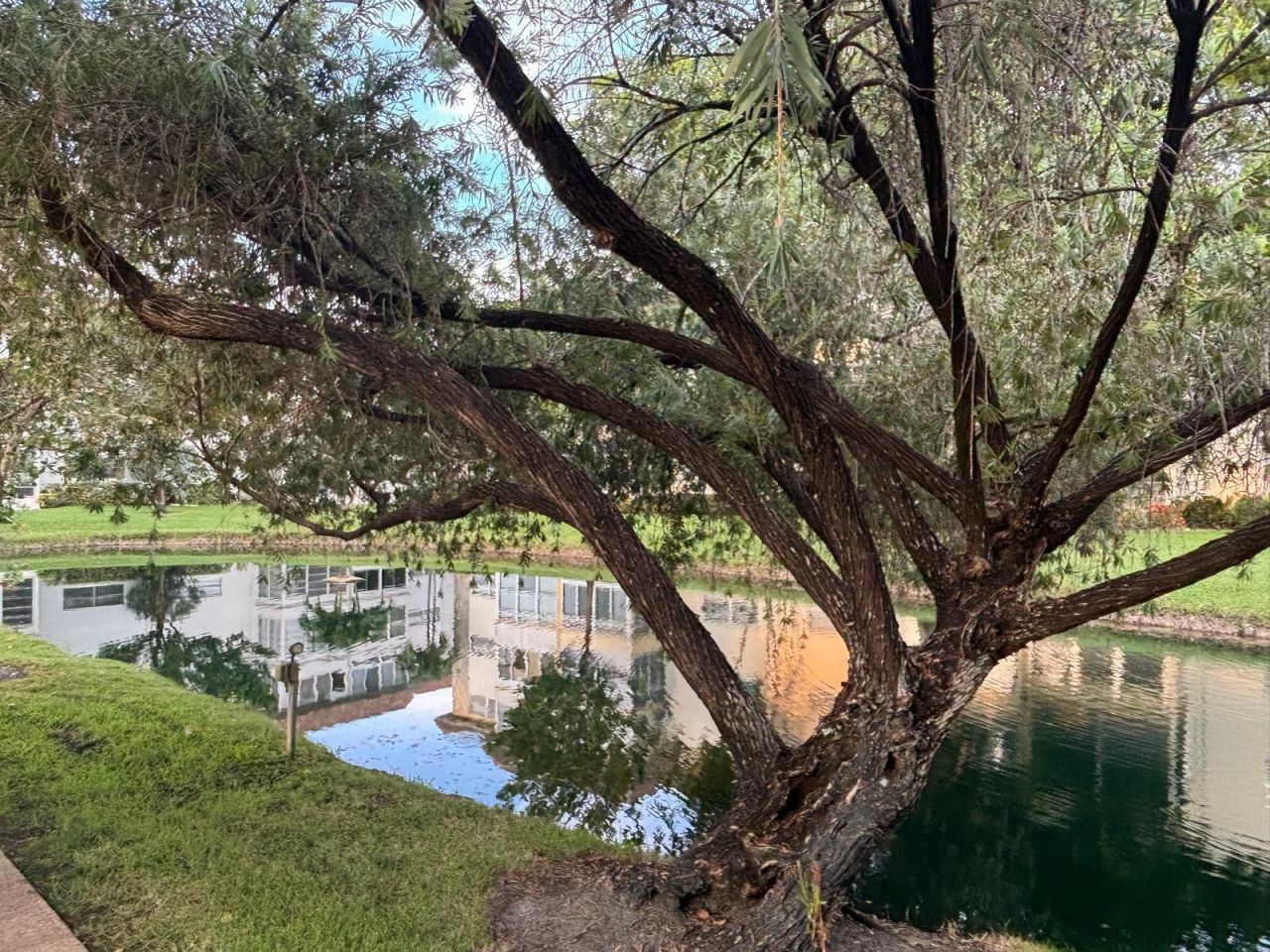 5171 W Oakland Park Boulevard, Unit 308, Lauderdale Lakes, FL 33313 Photo