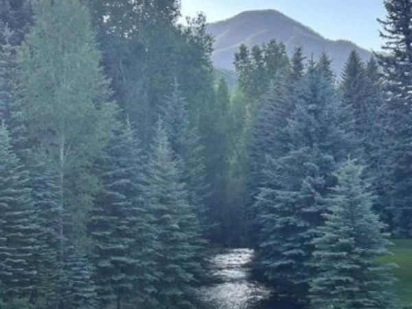 245 Mushroom Drive, Bayfield, CO 81122