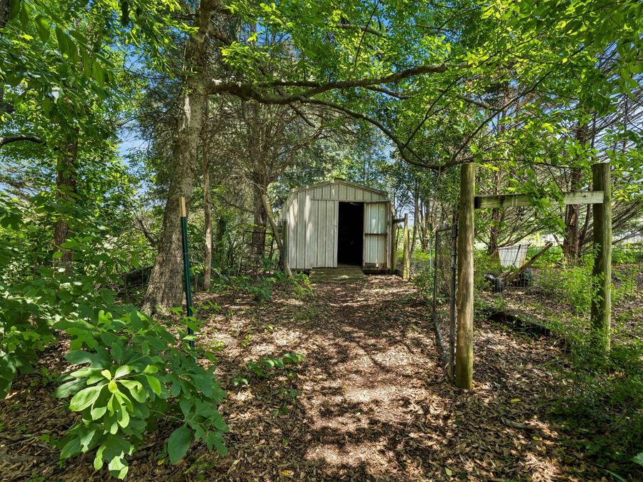 Property Image 44