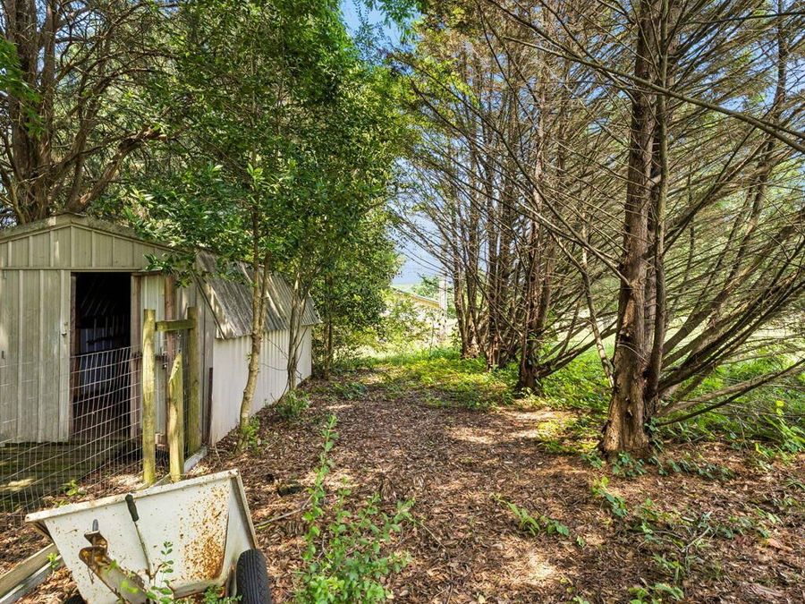 Property Image 45