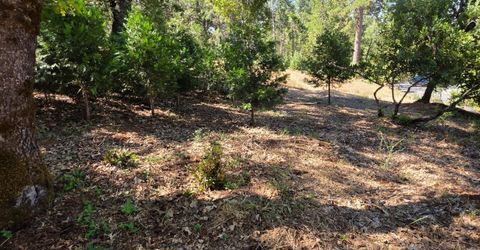 1447 Shining Moon Ln, Georgetown, CA 95634 Photo