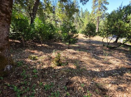 1447 Shining Moon Ln, Georgetown, CA 95634 Photo