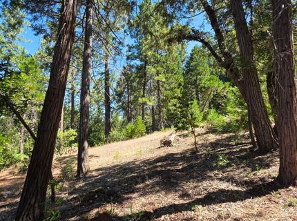 1447 Shining Moon Ln, Georgetown, CA 95634 Photo