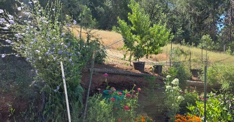 1447 Shining Moon Ln, Georgetown, CA 95634 Photo