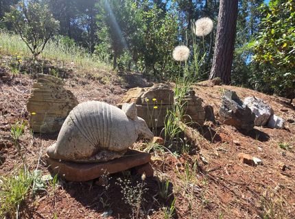 1447 Shining Moon Ln, Georgetown, CA 95634 Photo