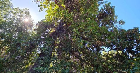 1447 Shining Moon Ln, Georgetown, CA 95634 Photo